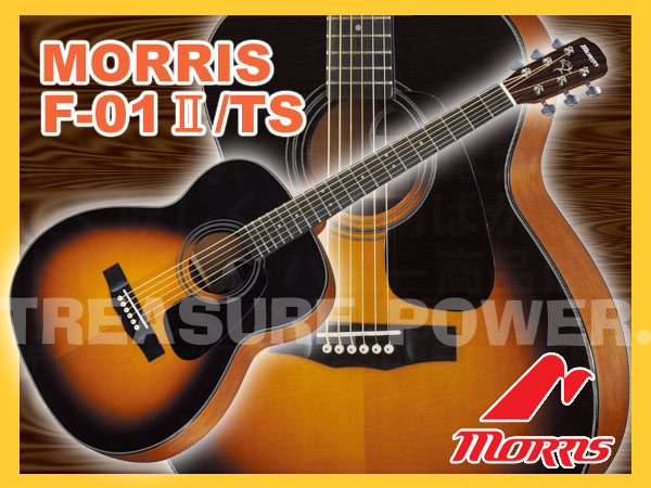 生産年度は分かりかねますMORRIS モーリス アコースティックギター F